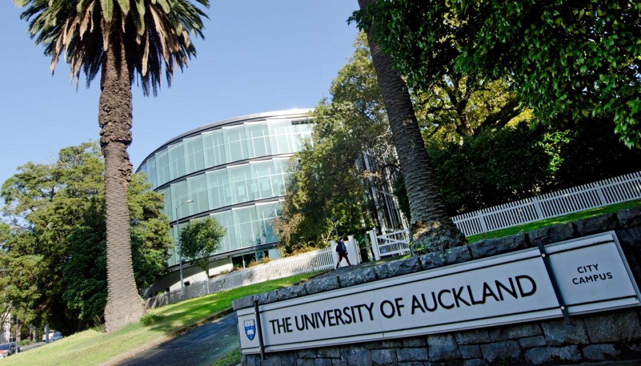 University of Auckland gallery image