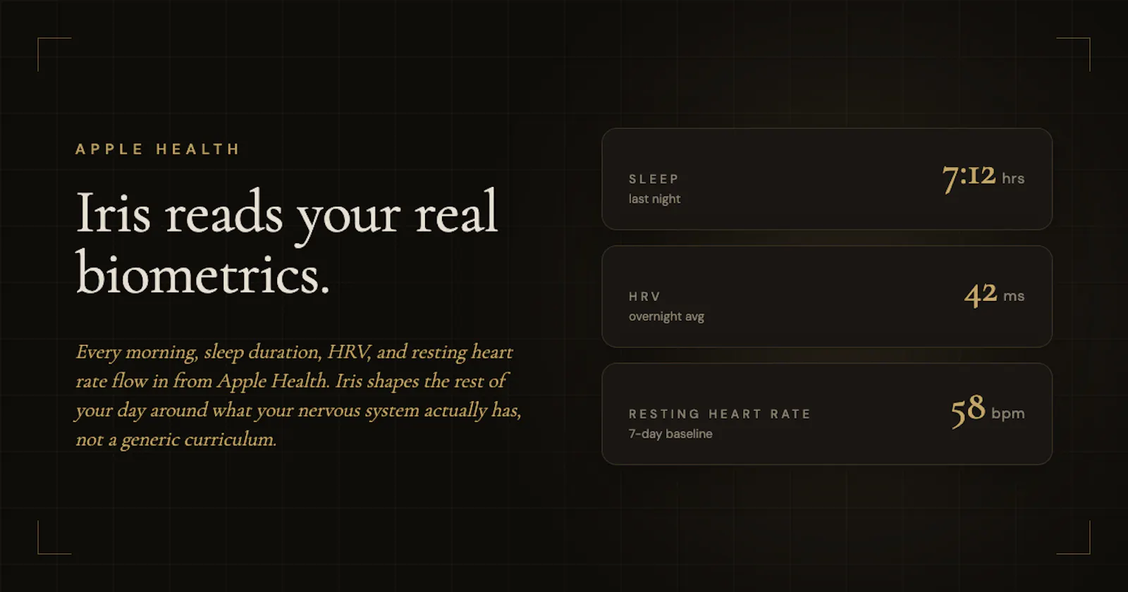 LiveNew screenshot 2