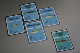 NFTs fishing - catch your rare NFT fish! gallery image
