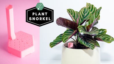 The Plant Snorkel gallery image