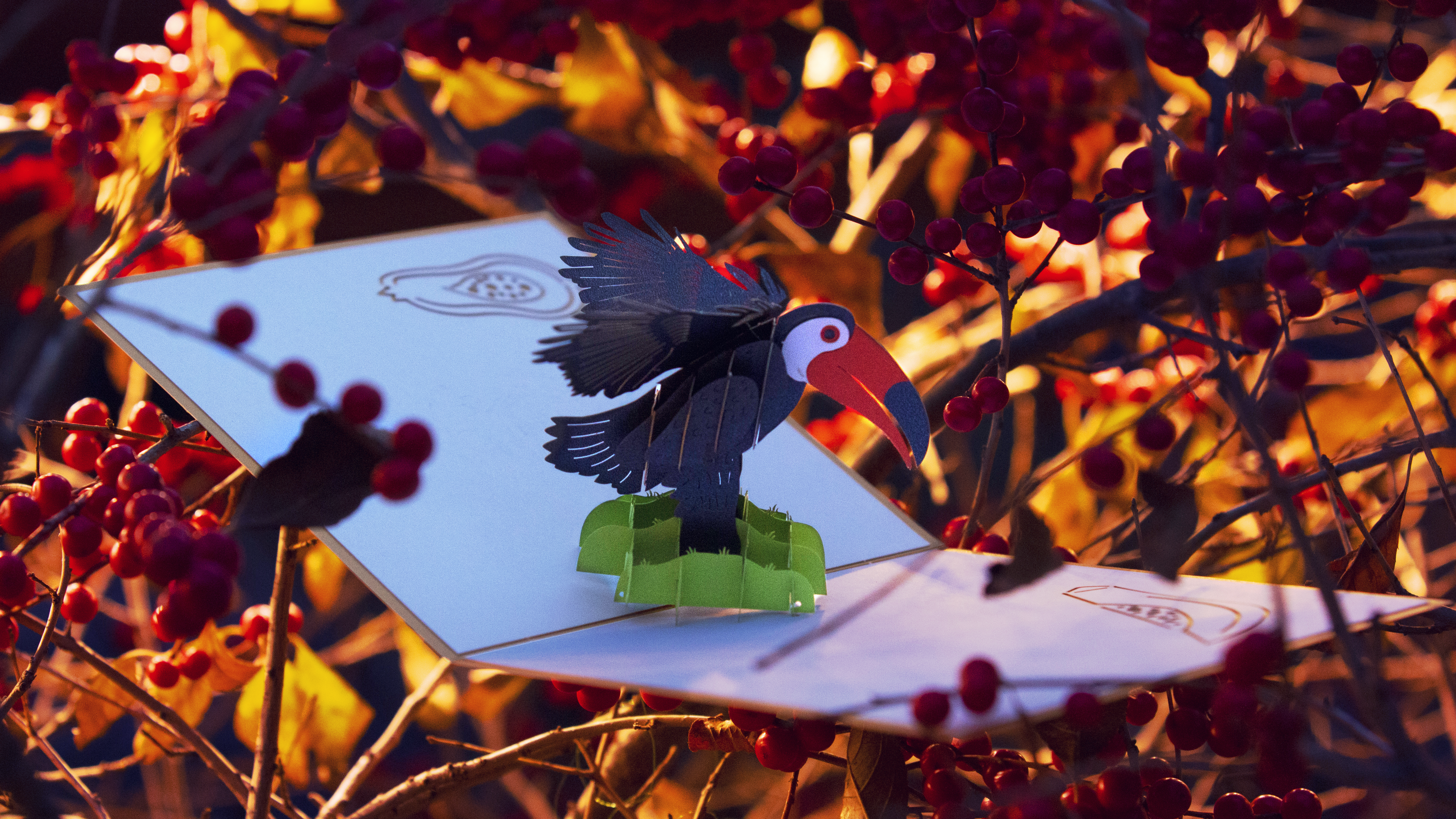 Paper Pop Cards gallery image