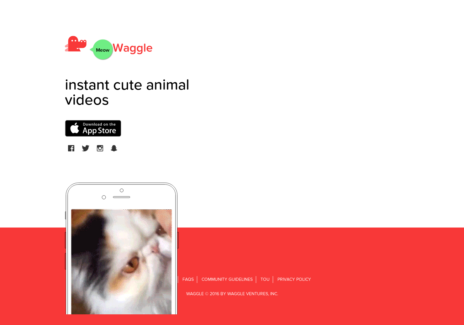 Waggle gallery image