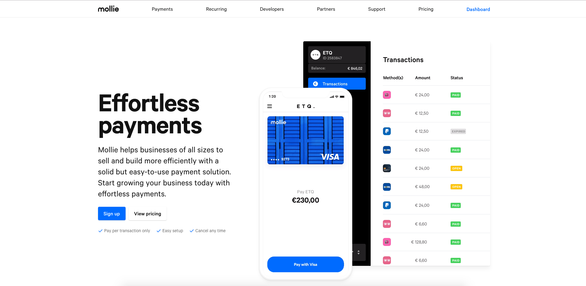 Mollie gallery image