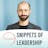 Snippets of Leadership Podcast Season 2