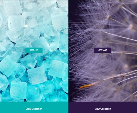 Color Trends 2015 by Shutterstock