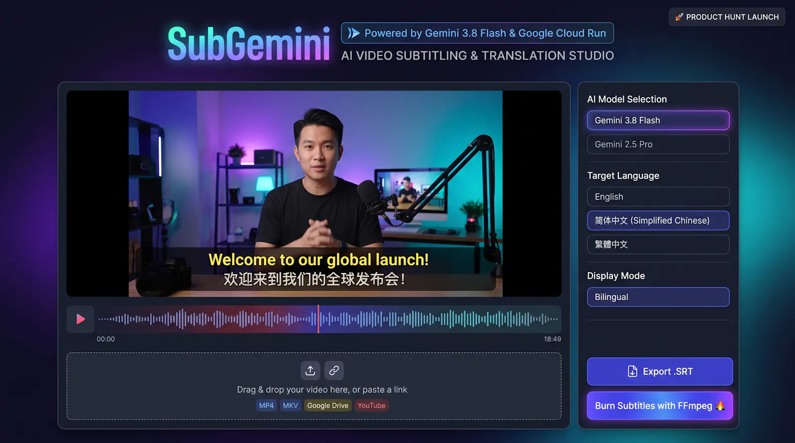 SubGemini screenshot 1