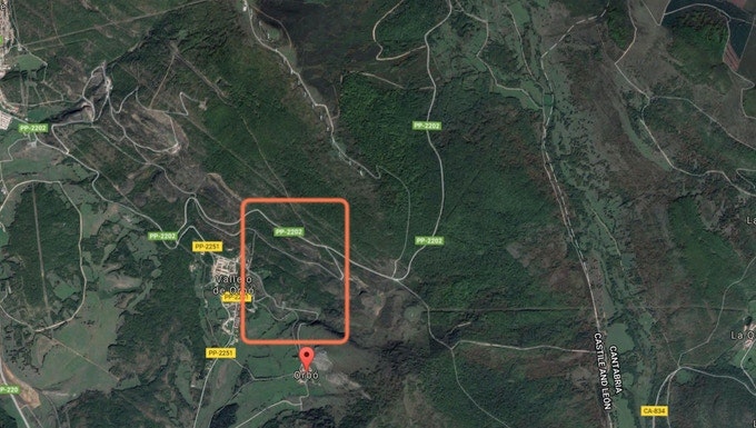 Reforestum gallery image