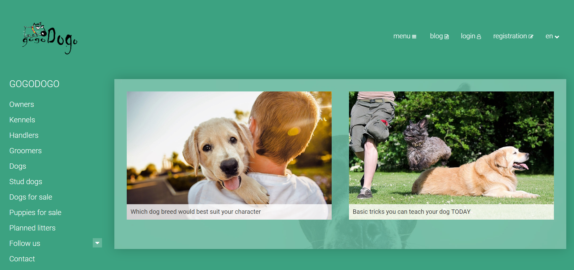 GogoDogo gallery image