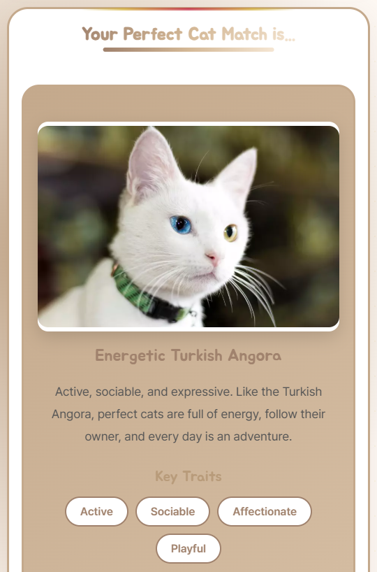 hasacat | 나만없어 고양이 - Screenshot 2 showing product features and functionality