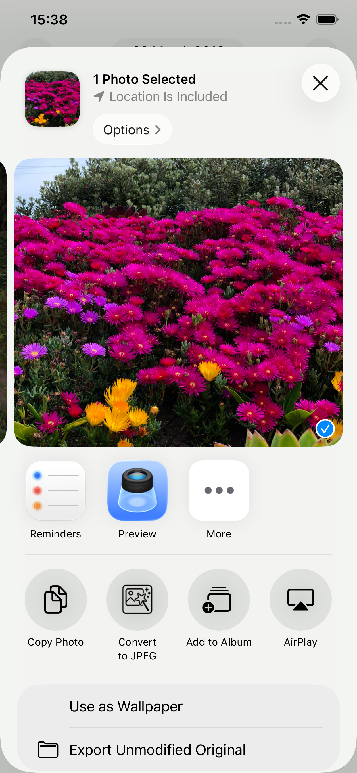 Simplest JPEG converter gallery image