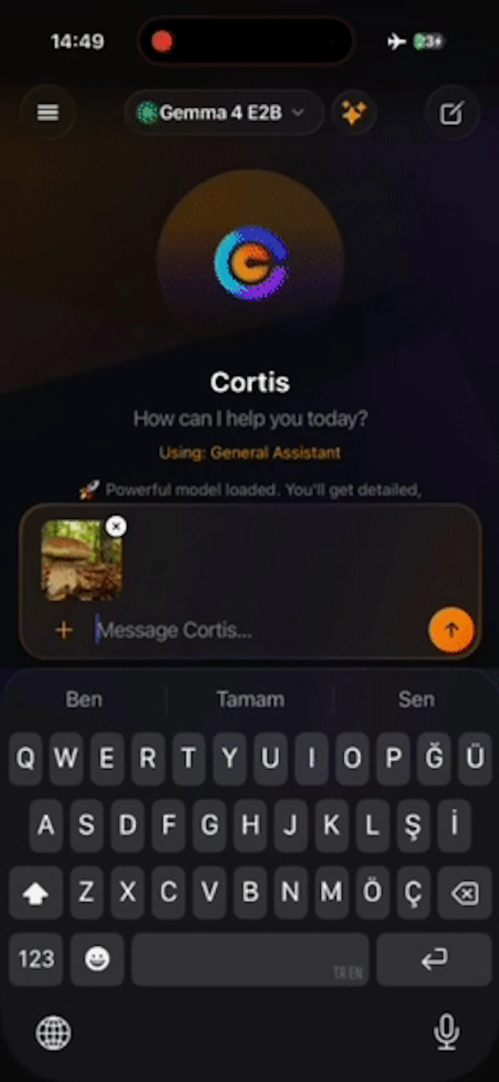 Cortis: Offline AI Assistant screenshot 3