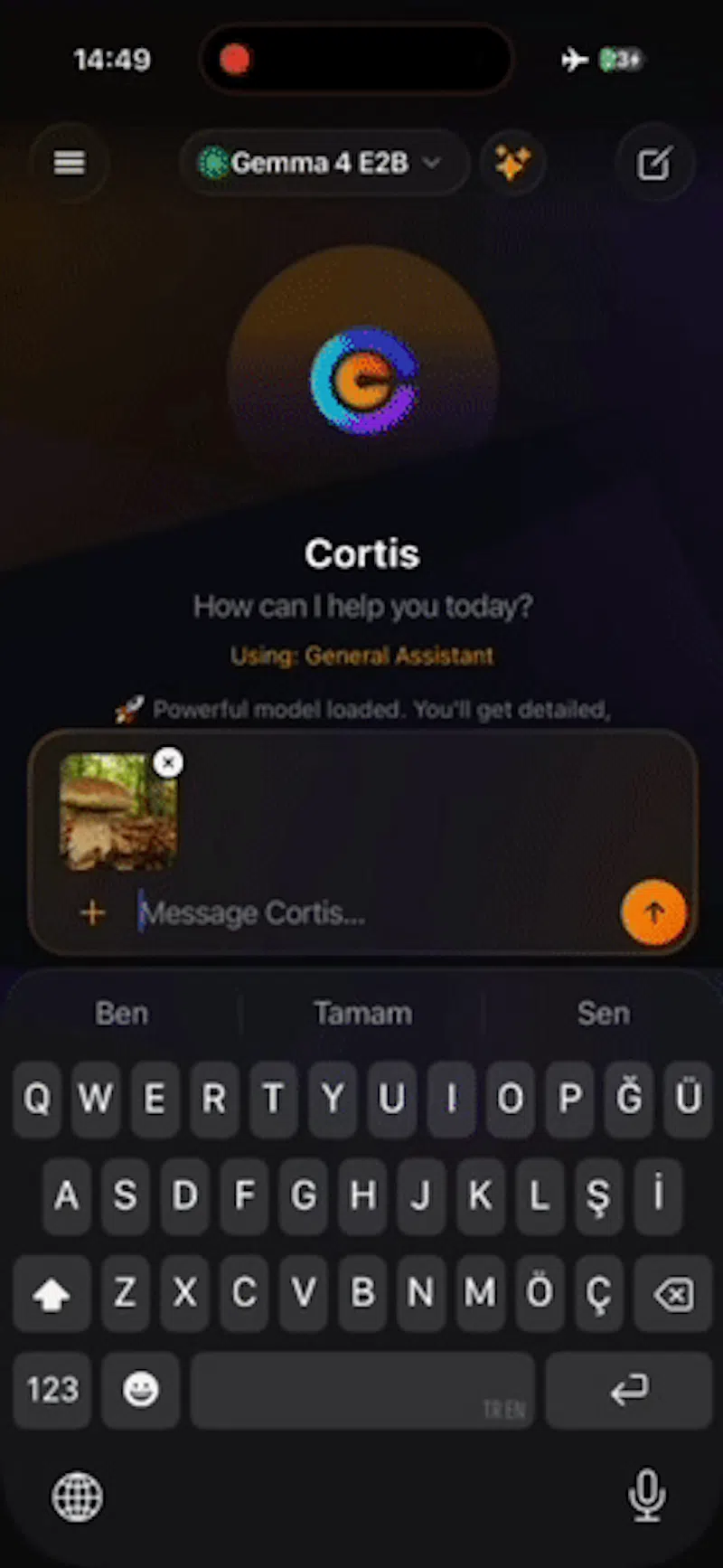 Cortis: Offline AI Assistant screenshot 3