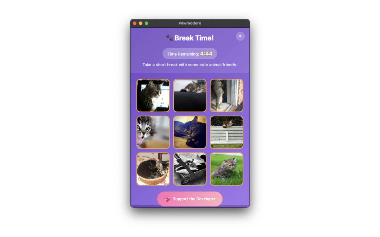 Pawmodoro - Chrome web store media 2