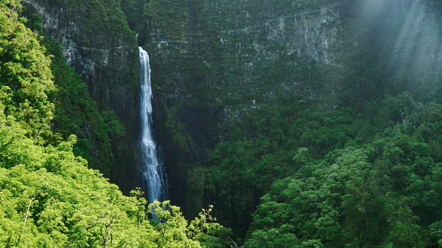 Videoblocks by Storyblocks gallery image