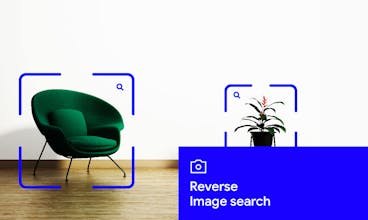 PhotoSplash 2 | Adobe XD Plugin gallery image