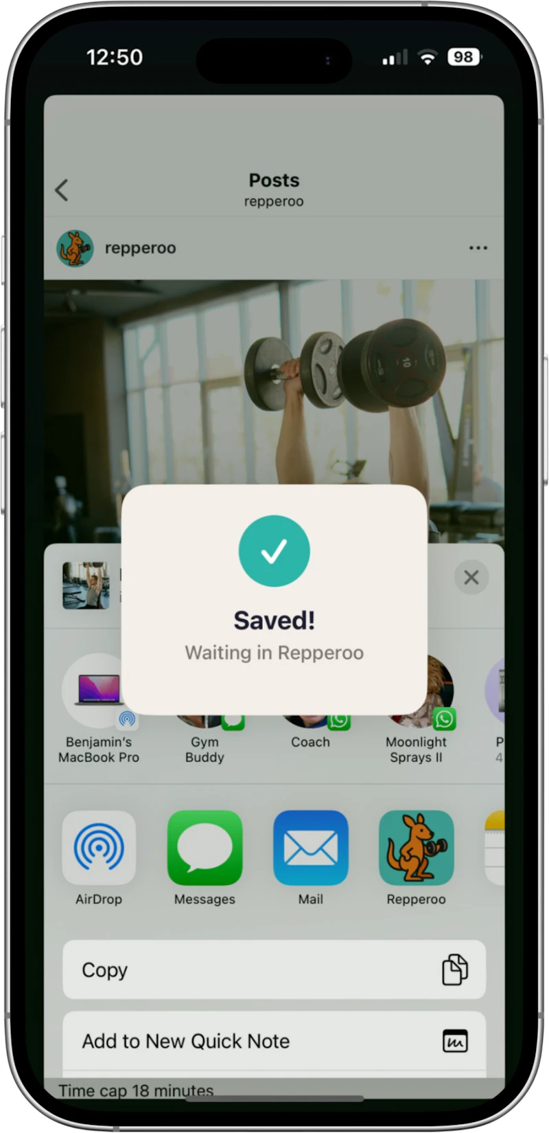 Repperoo screenshot 2