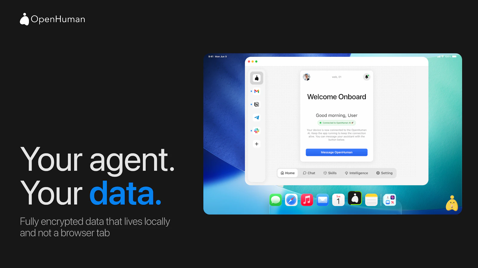 OpenHuman screenshot 4