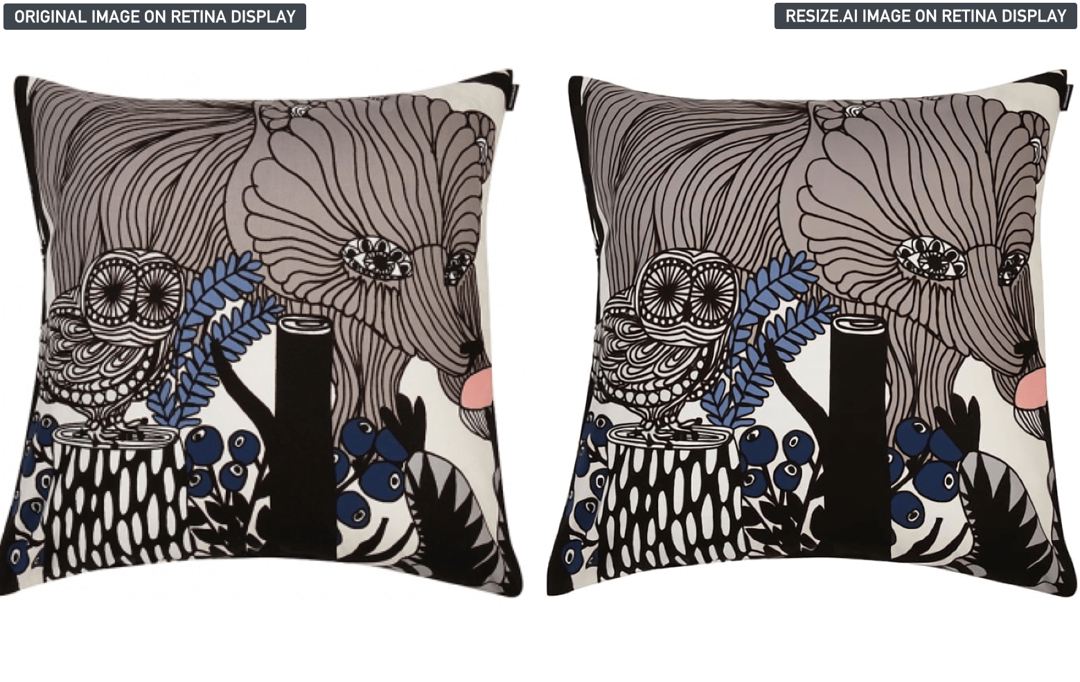 Resize.ai gallery image