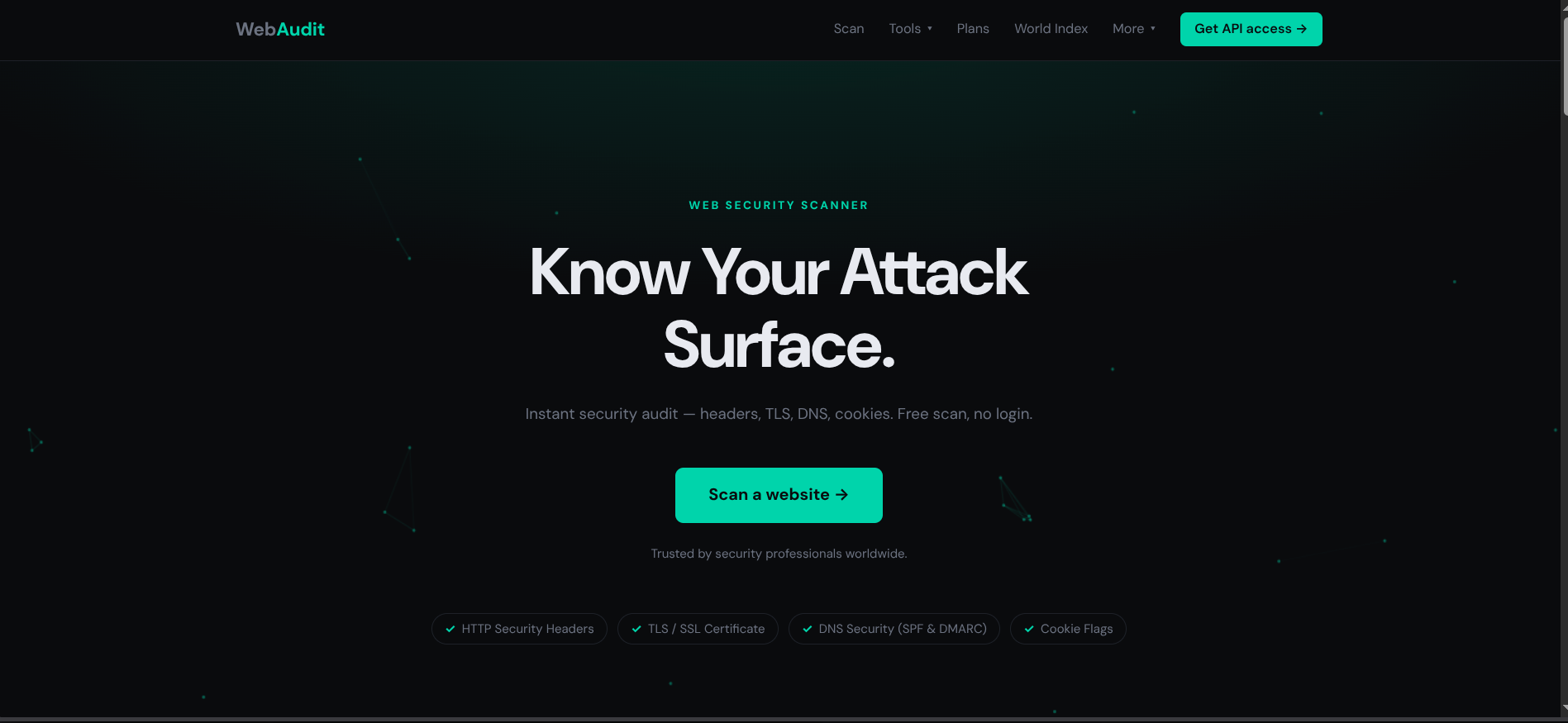 WebAudit gallery image