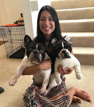 Petsies gallery image