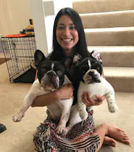 Petsies gallery image