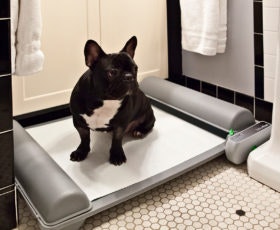 BrilliantPad: Self-Cleaning Indoor Dog Potty gallery image