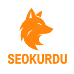 SEO KURDU - Ankara SEO Firması gallery image