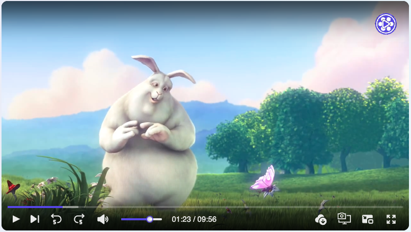 Vidify gallery image