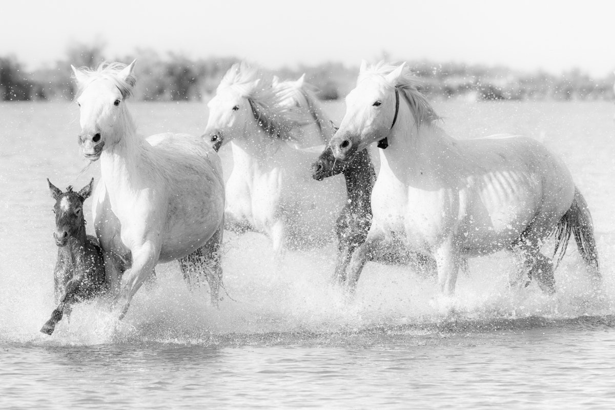 Northern Lights Photo Workshops