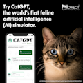 CatGPT
