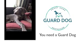 Guard Dog - by A Cloud of My Own media 2