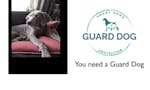 Guard Dog - by A Cloud of My Own image