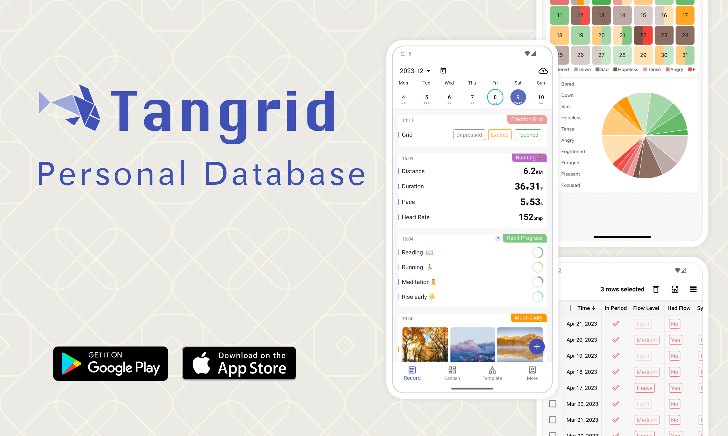 Tangrid: personal database media 5