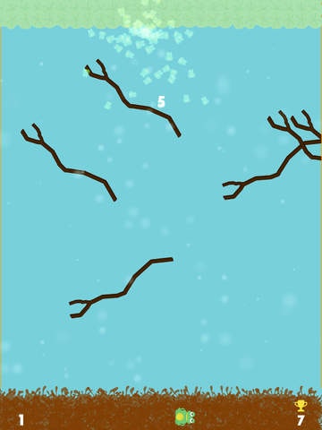 Frog Up gallery image