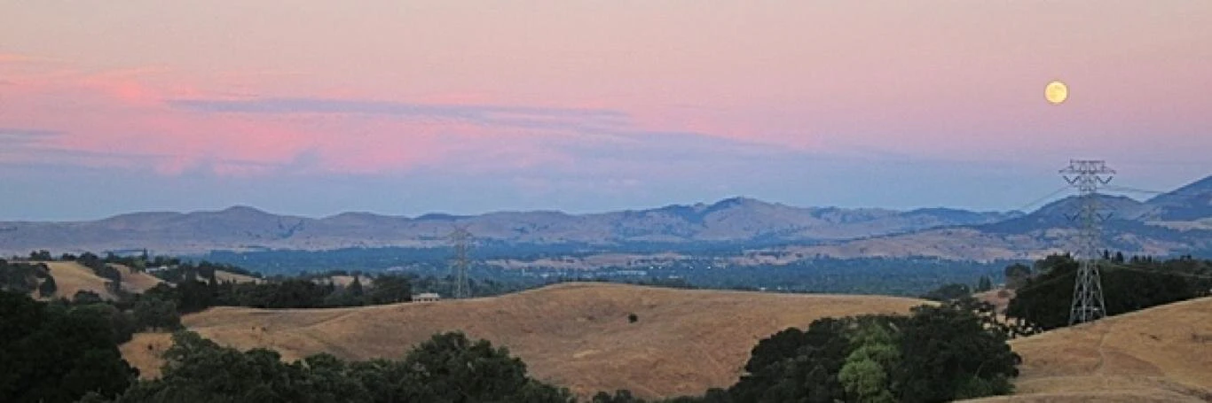 Erin Jo Richey cover