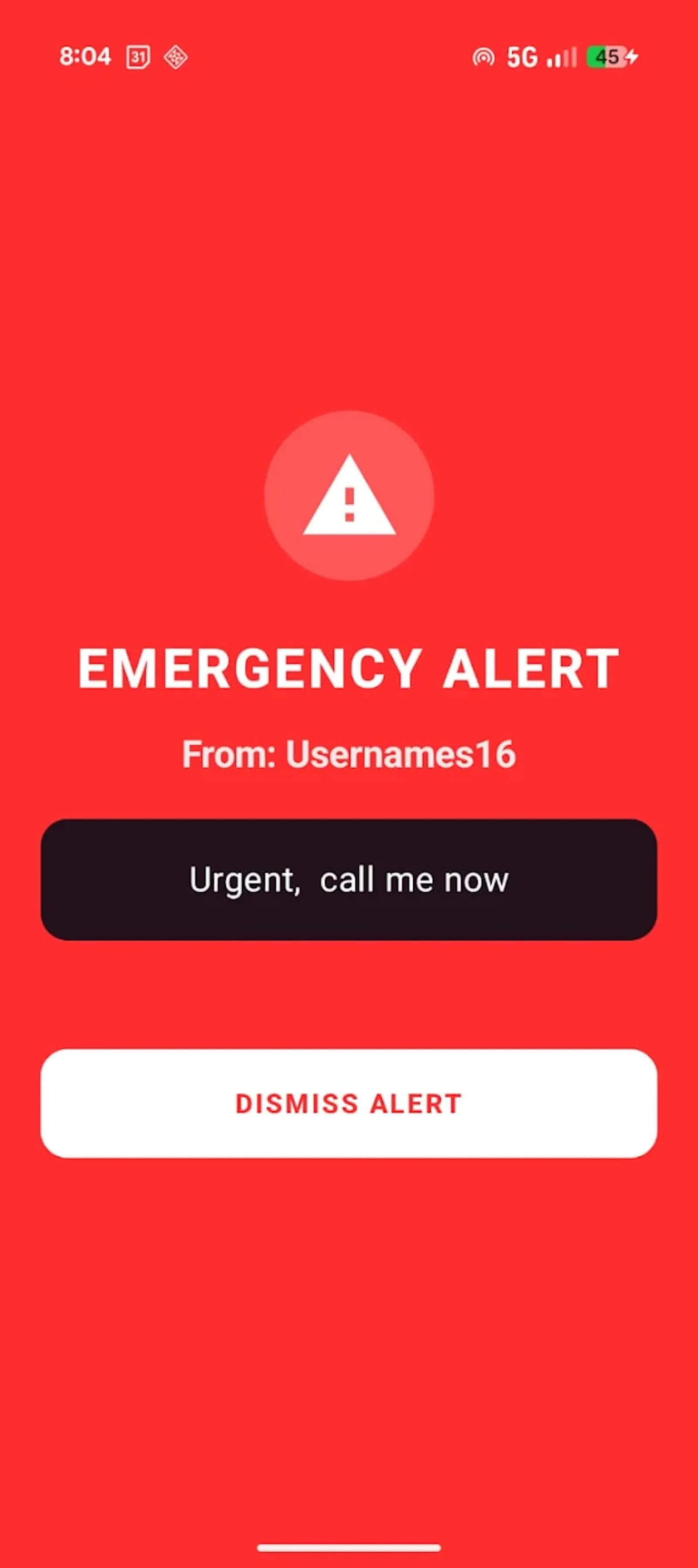 FlashPing screenshot 5