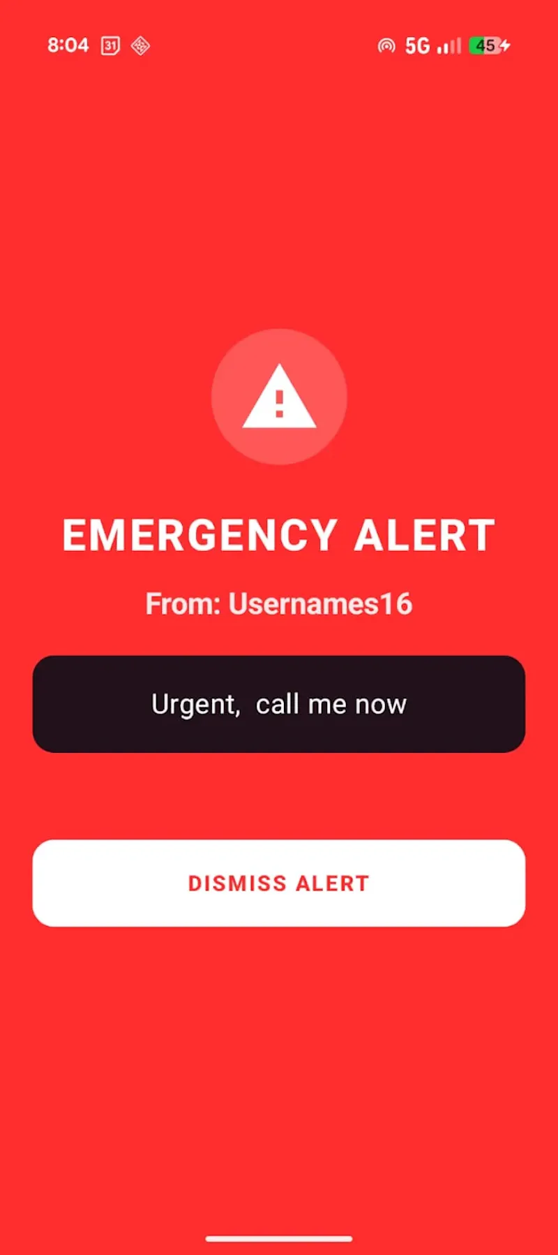 FlashPing screenshot 5