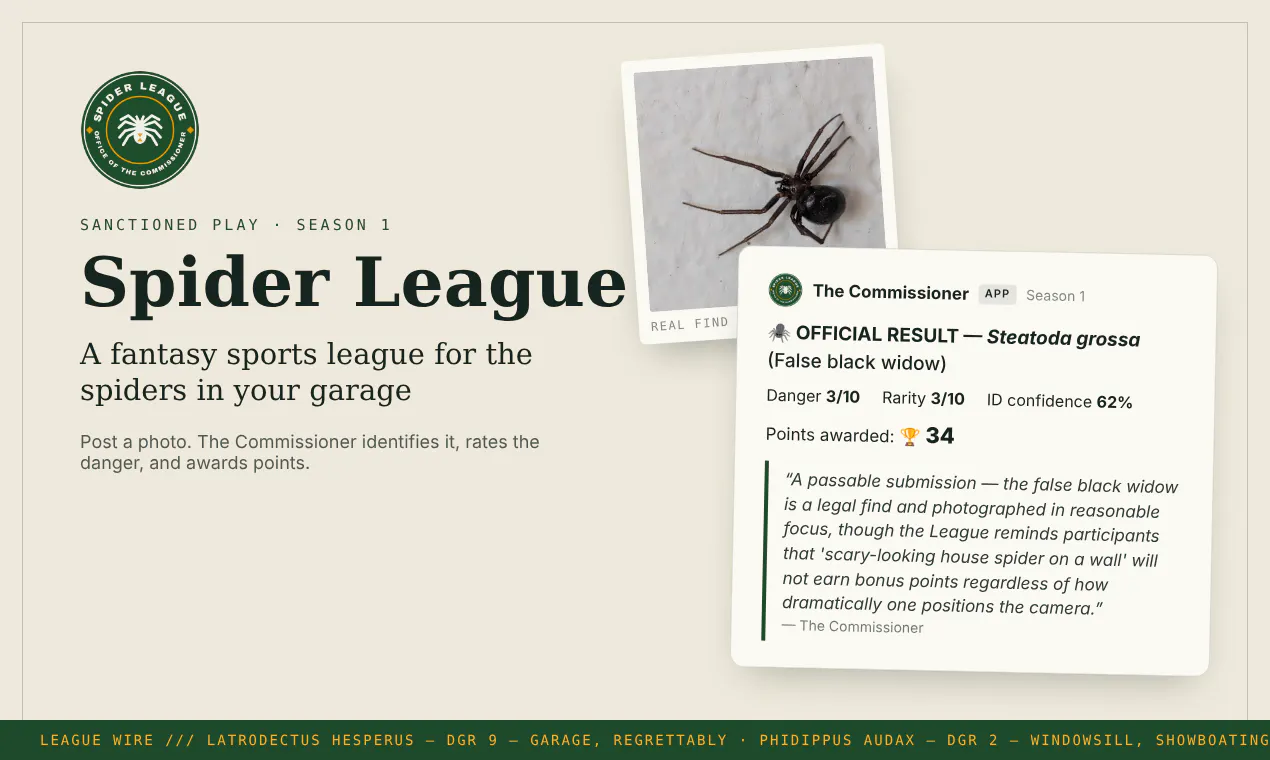 Spider League gallery image