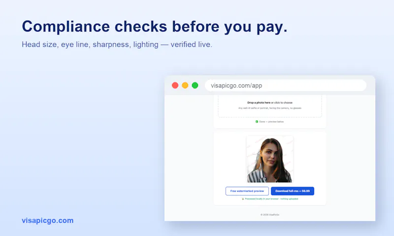 VisaPicGo screenshot 2