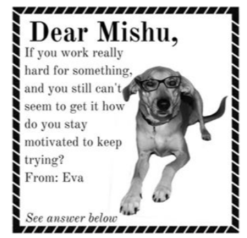 Dear Mishu gallery image