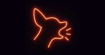 YapYap gallery image