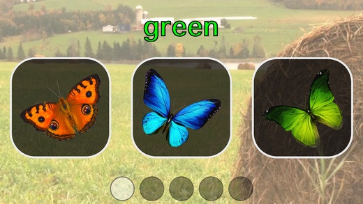 Color Find - What's that Color? gallery image