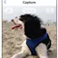 GifCap