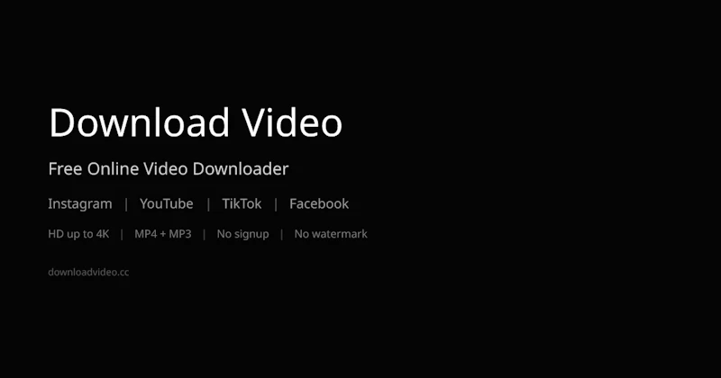 Download Video screenshot 1