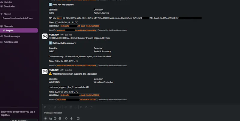 NullRun screenshot 6