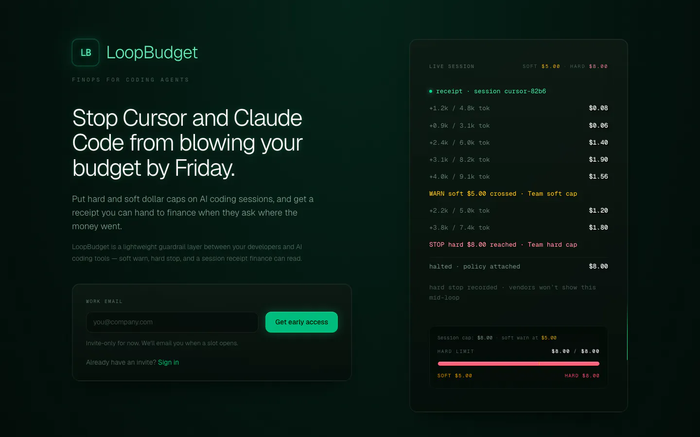LoopBudget gallery image