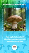 mushroomcheck gallery image