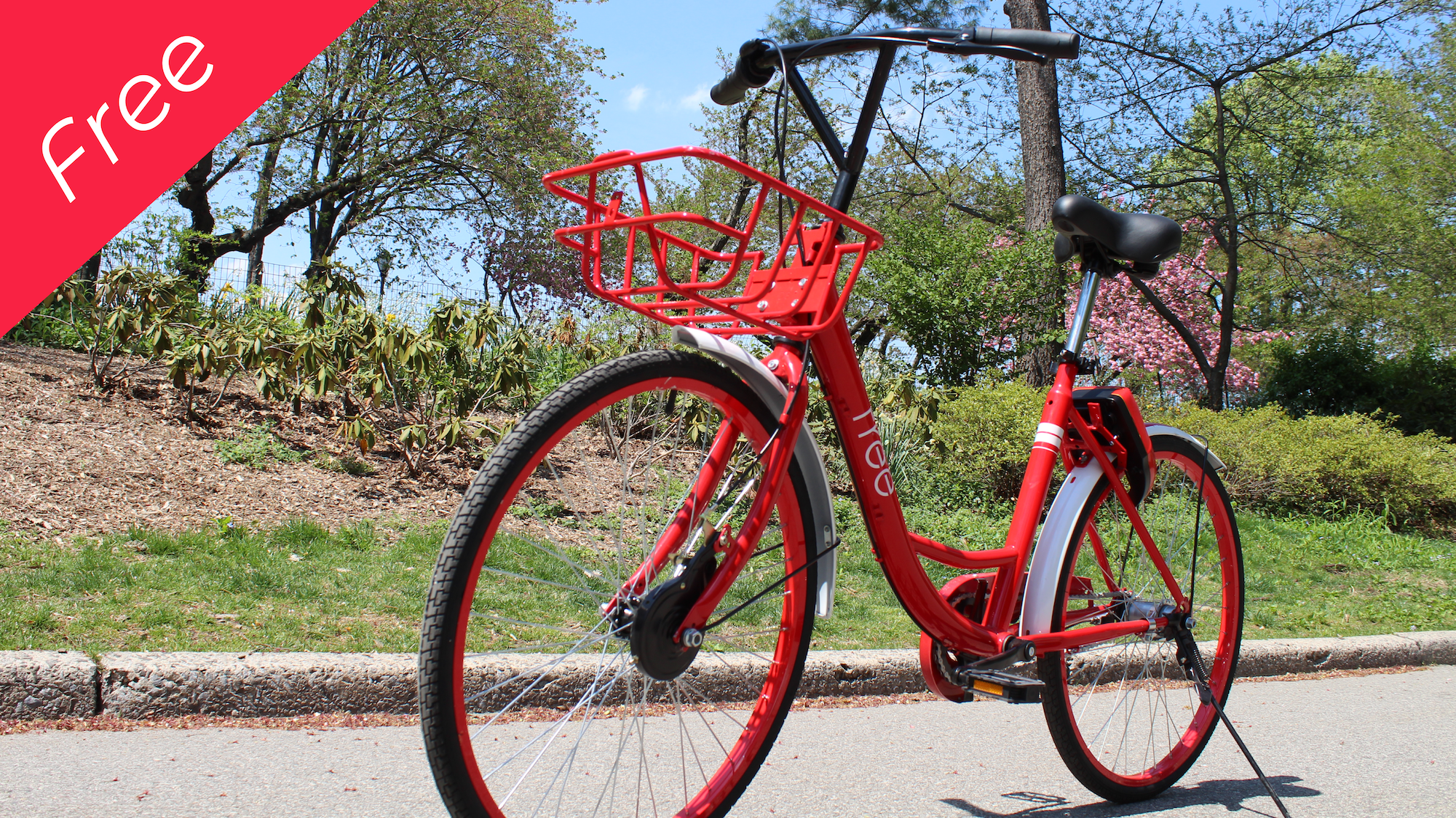 Free Bicycle gallery image