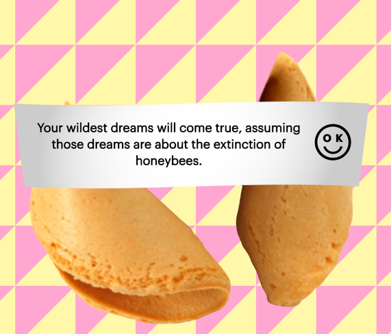 OK Cookie gallery image