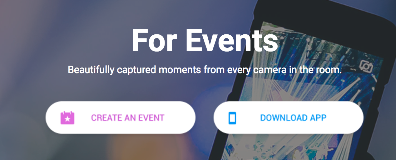 Bashoto gallery image